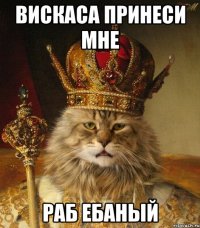 вискаса принеси мне раб ебаный