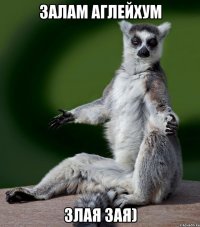 залам аглейхум злая зая)