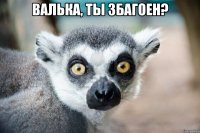 валька, ты збагоен? 
