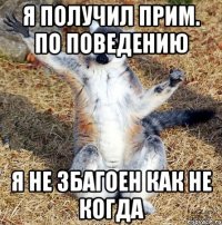 я получил прим. по поведению я не збагоен как не когда