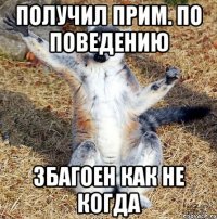 получил прим. по поведению збагоен как не когда