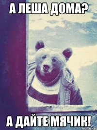 а леша дома? а дайте мячик!