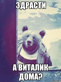 здрасти а виталик дома?