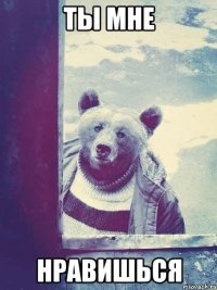 ты мне нравишься