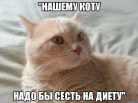 "нашему коту надо бы сесть на диету"