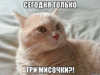 сегодня только три мисочки?!