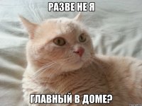 разве не я главный в доме?