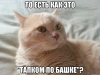 то есть как это "тапком по башке"?
