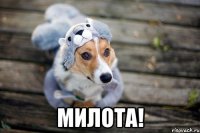  милота!