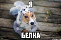 я белка