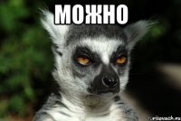 можно 