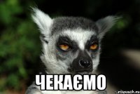  чекаємо