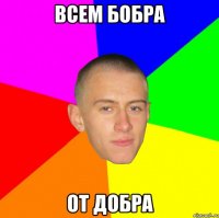 всем бобра от добра