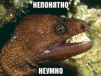 непонятно неумно