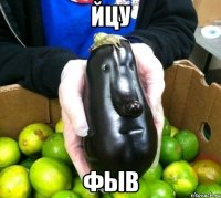 йцу фыв