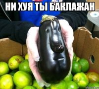 ни хуя ты баклажан 