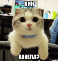 вик ахуела?