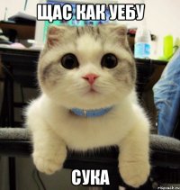 щас как уебу сука