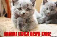 dimmi cosa devo fare