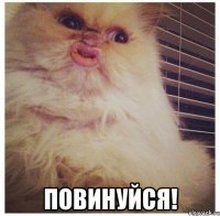  повинуйся!