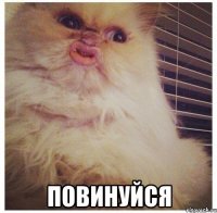  повинуйся