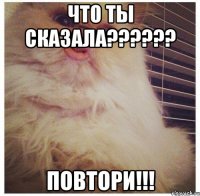 что ты сказала??? повтори!!!