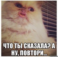  что ты сказала? а ну, повтори...