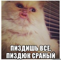  пиздишь все, пиздюк сраный