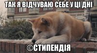 так я відчуваю себе у ці дні ©стипендія