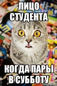лицо студента когда пары в субботу