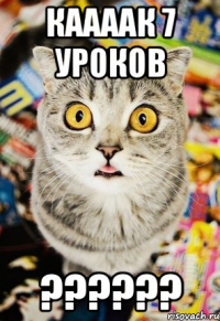 каааак 7 уроков ???