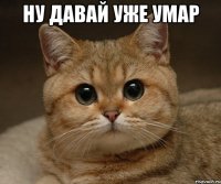 ну давай уже умар 