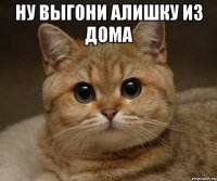 ну выгони алишку из дома 