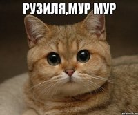 рузиля,мур мур 