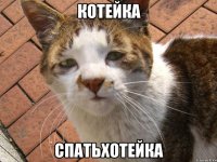 котейка спатьхотейка