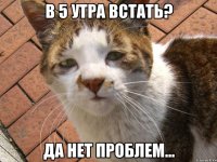 в 5 утра встать? да нет проблем...