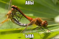 авы ыва