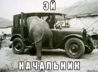 э й н а ч а л ь н и к
