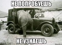 не попробуешь не узнаешь