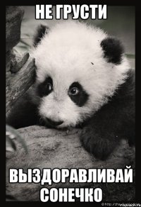 не грусти выздоравливай сонечко