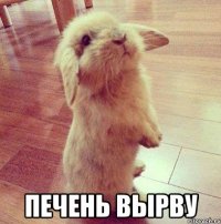  печень вырву