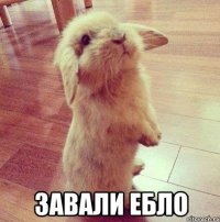  завали ебло