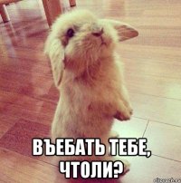  въебать тебе, чтоли?