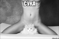 сука 