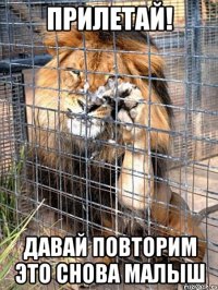 прилетай! давай повторим это снова малыш