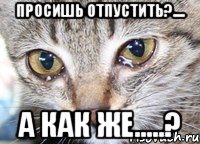 просишь отпустить?.... а как же.....?