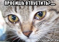 просишь отпустить?..... 