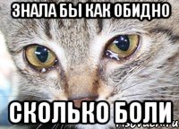 знала бы как обидно сколько боли