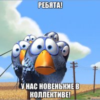 ребята! у нас новенькие в коллективе!
