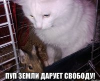  пуп земли дарует свободу!